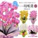  Mother's Day flower gift present artificial flower Mini . butterfly orchid 3ps.@.CT catalyst opening .. celebration photocatalyst 