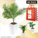 福袋 2020 観葉植物の福袋 フェイクグリーン5点セット ハッピーバッグ 人工観葉植物 光触媒 CT触媒