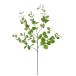 �t�F�C�N�O���[�� �ϗt�A�� ���� ��^ FIAN ���[�J�� �X�v���[ ���C�g�O���[�� 82cm �t�F�C�N �O���[�� CT�G�} ���L LS0024-LGR