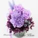 консервированный цветок подарок подарок праздник . праздник цветок модный организовать лиловый фиолетовый moon пыль симпатичный день рождения Mini / фланель ke Klein 