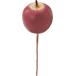  Apple pick 6P S R MY-036