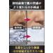 �e�J���h�~ �p�E�_�[ �����Y �t�F�C�X�p�E�_�[ �玉 �� �@ T�]�[�� �I�C���[�� ������ �q���� ������ �����Y���C�N �T���T�� BELMENS �x�������Y �֘A�摜5
