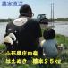{ количество 30 ограничение . рис бесплатный } Yamagata префектура . внутри производство. .... рис ( белый рис )25kg [ бесплатная доставка ( Kyushu * Okinawa * исключая отдаленные острова )] дешевый сельское хозяйство дом прямая поставка один и т.п. небольшое количество . есть перевод 
