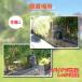 �L�悯 �A�j�}���o���A �u���b�N�~�j �����g ��ǔL ������ �L�΍� �ގU �΍� �֘A�摜5