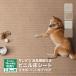 �T���Q�c ���ڃV�[�g ���ɂ����L�t���A�m�n�[�h�n HOME FLOOR 182cm�� 2.8mm�� ���L�m1���ȏ�10cm�P�� �ؔ��nHK-12207 HK-12208 HK-12209 HK-12210