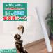  обои 10m кошка Chan. коготь .. предотвращение стена защита сиденье прозрачный обои. сверху .... ..... кошка собака коготь точить предотвращение сиденье перемещение прокат входить . прокат возможно прокат OK чуть более склеивание 