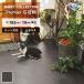 [ максимальный *20% off купон ] подушка пол домашнее животное соответствует земля пара камень глаз style восток li[ заказ. 1m и больше 10cm единица измерения ] Crave блокировка CF3754 182cm ширина 