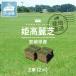  натуральный газонная трава прохладный рейс газонная трава сырой . Goryeo газонная трава Miyazaki префектура производство 2 пачка (2 flat рис ) входить sodo