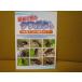  впервые .. жук-олень 