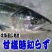 . соль час ...1.5kg~1.8kg передний и задний (до и после) Hokkaido производство широкий хвост производство 1 хвост подарок на Bon Festival 