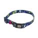 P-4903588573941petioCAT COLLAR кошка цвет Star цвет голубой ошейник для кошки 