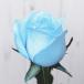 アイスブルーローズ 花束 アレンジメント 追加用オプション 青 バラ 生花