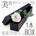  Rainbow rose чистый пастель M размер 1 колесо BOX живые цветы роза букет box цветок цветок подарок надежный производитель прямые продажи 