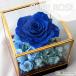 �v���U�[�u�h�t�����[�w�L���[�u���[�Y �`�u���[�`�x�N���A�P�[�X�t �a���� ���蕨 �L�O�� ��̓� �h�V�̓� �v���[���g �M�t�g ���j��