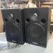 YAMAHA Yamaha / MSP3 контрольный динамик ( пара )