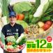  vegetable set Kyushu production 12 item assortment domestic production trial 