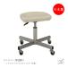  табурет работа для стул рабочий стул medical стул экспертиза стул газ подниматься и опускаться тип mold сиденье . нет резина литейщик specification MT-0816