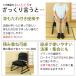 2�r�Z�b�g ���֎q �r�t�� �����֎q ���ʍ���25cm �����i ��52cm ���s46cm ����45cm �u���b�N �� ���烌�U�[ ������� �@���p ���~ �֎q ���d�֎q �@�v ERCL-700 �֘A�摜2