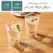 �R�b�v �O���X �_�u���E�H�[���O���X 2�� �Z�b�g �K���X�R�b�v �J�b�v 420mL �ϔM�O���X �R�[�q�[�J�b�v �e�B�[�J�b�v �^���u���[ �H��@�Ή� ���q�p �֘A�摜1