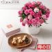 FMQ-01C M ho si farm Mother's Day carnation &.. monaca .... handmade .. butter monaca 3 piece ... in the middle of cash on delivery un- possible 5/8~5/11 delivery 