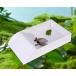 ঒��� ������ ���N�K�� ������ ���N�K�� �Z�b�g �T���� �T ����P�[�X ঒��� �P�[�W ���N�K������Z�b�g �v���r ���� �� �傫�� �y�� ���{�E�� �a����H�� �֘A�摜2