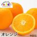 アメリカ産オレンジ　30玉(1玉200g)