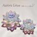  Aurora Lotus M размер .. интерьер произведение искусства Rainbow crystal лотос стекло ... первый поддон домашний алтарь O-Bon ... подарок интерьер смешанные товары день рождения подарок 