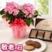  День почитания пожилых людей подарок запах Sakura 4 номер растение в горшке GODIVA Lange do автомобиль комплект бесплатная доставка цветок конфеты .... подарок . из .книга@ цветок замок .