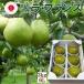 �sGI�o�^�i�t �R�`���E�t�����X  6�k�� 3kg (6��) ���� �M�t�g 11����{����菇�������s�\���t��!�t