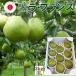 �sGI�o�^�i�t �R�`���E�t�����X  3�k�� 3kg (9��) ���� �M�t�g 11����{����菇�������s�\���t��!�t