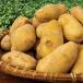  potato jagaimo free shipping 1kg ~ 10kg new jagaimo new potato me-k in vegetable jagaimo new ...