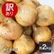  with translation onion 2kg L~2L onion . home use large amount vegetable domestic production sphere leek 