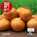  with translation onion 5kg L~2L onion . home use large amount vegetable domestic production sphere leek 