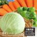  vegetable set A( cabbage 1 sphere * green pepper approximately 500g* carrot approximately 1kg)3 kind set .....-.. carrot standard all-purpose .... is .... hour . home use large amount 