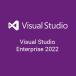 Microsoft Visual Studio Enterprise 2022 ܸ [] ץȥ/ 1PC ³饤