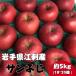 .. производство яблоко солнечный .. примерно 5kg L18 шар кроме того, M20 шар 11 месяц 20~12 месяц 26 день доставка .. сельское хозяйство . прямая поставка от производителя Iwate префектура внутри . город .. для бесплатная доставка 