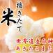 30年産　米 10kg 送料無料　秋田県産 あきたこまち 玄米 10kg 一等米　白米 9kg　お米　お祝い　御贈答