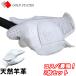 [ springs sale in session ]3 pieces set sheep glove natural sheep leather Golf glove left hand for commodity according to somewhat color. different equipped bulk buying 