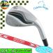 [ winter распродажа во время ]DW-123 Хромированный Kasco Dolphin Wedge серебряный Golf Club 