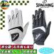 [ summer распродажа во время ] SPGL-3657 Spalding не легализация Golf перчатка искусственная кожа SPALDING GOLF SPGL-3658