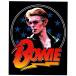 DAVID BOWIE / ǥåɥܥ -  Cool Photo STICKER / ƥå