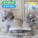 UV уход цветок день мир короткий бак собака. одежда 