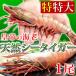 特特大 冷凍 シータイガー ジャンボエビ 皇帝の海老 エビ 海老 有頭えび 単品 1尾180-229g 約28-30cm 個包装