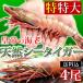 特特大 冷凍 シータイガー ジャンボエビ 皇帝の海老 エビ 海老 有頭えび 4尾セット 1尾180-229g 約28-30cm 個包装