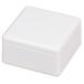 Onigiri Sand Maker Onigirazu Cube Box White C-451 for Bentoijapan Madej
