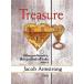 Treasure DVD: A Four-Week Study on Faith and Money