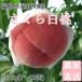  персик Sakura белый персик 3kg Fukushima тутовик . блок производство 9 месяц сверху .-9 месяц средний . доставка 7~12 шт обычная температура рассылка 