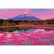  сделано в Японии Beverly 1000 деталь составная картинка ...... Fuji микро деталь (26*38cm)