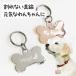  shines identification tag dog cat . type dog tag pet tag name tag brass robust . ring a.m. order . same day shipping free shipping 