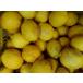 レモン3kg 送料無料 わけあり 国産レモン ノーワックス 低農薬 省農薬 和歌山産
